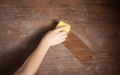 What’s Dust? Where Does it Come From?