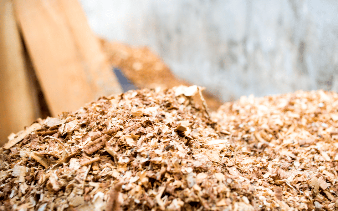 Hazardous Sawdust: Symptoms of Inhaling Wood Shavings