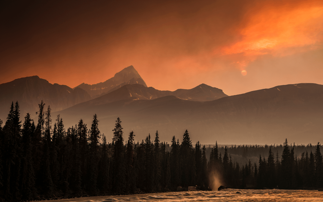 Canadian Wildfires: Is 2023 the Worst Year on Record?