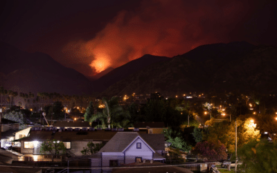 Wildfires in California: 2023 Predictions & How to Protect Yourself