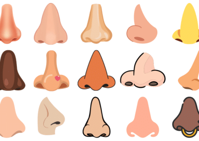 Nose Shapes: Detailing 9 Types of Noses