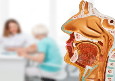 Nose Anatomy: Explaining Parts of the Nose