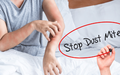 How to Get Rid of Dust Mites: The Complete Guide