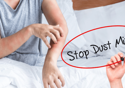 How to Get Rid of Dust Mites: The Complete Guide