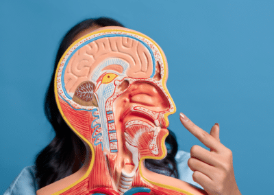 The Evolution of the Human Nose