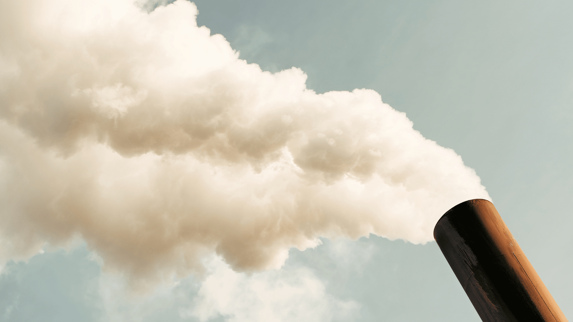 Explaining the Difference Between PM2.5 & PM10 Blog Image PM10