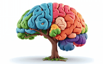 How Air Quality Affects the Human Brain